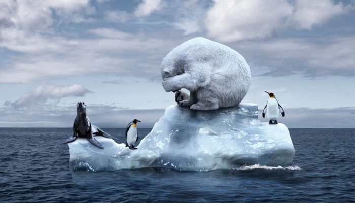 PHIÊU LƯU CHÂU NAM CỰC 2025 - CHƯƠNG TRÌNH BASECAMP – KAYAKING