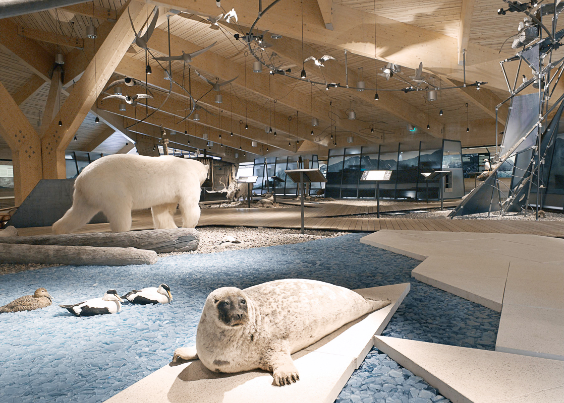 HÀNH TRÌNH NƠI ĐỊA ĐẦU TRÁI ĐẤT LOFOTEN & VÙNG SVALBARD BẮC CỰC